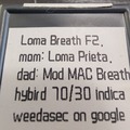 Sell: aSec -Loma Breath F2 #13/24