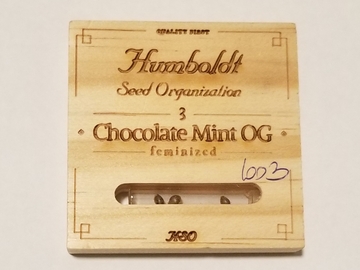 HSO Chocolate Mint OG 3 fems
