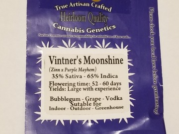 Vente: Norstar Genetics- Vintner's Moonshine 10 regs