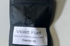 Venta: Square One Genetics- Violet Fuel