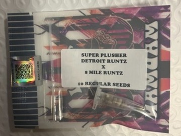 Auction: (AUCTION) Super Plusher from Tiki Madman
