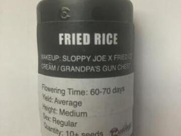 Auction: (auction) Fried Rice from Cannarado
