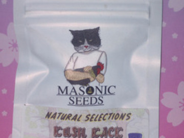 Auction: *Auction*  Kush Kack (Natural Selections) Masonic Seeds