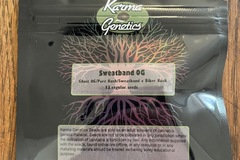 Venta: Karma Genetics - Sweatband OG
