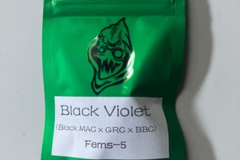 Venta: Robinhood Seeds- Black Violet