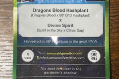 Venta: Dragons blood Hashplant x divine spirit