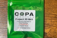 Sell: Copa project 25 bx1