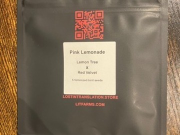 Subastas: (auction) Pink Lemonade Half from LIT Farms