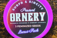 Auction: (AUCTION) Ornery from Sin City x Surfr