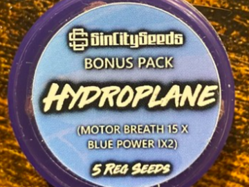 Auction: (AUCTION) Hydroplane from Sin City