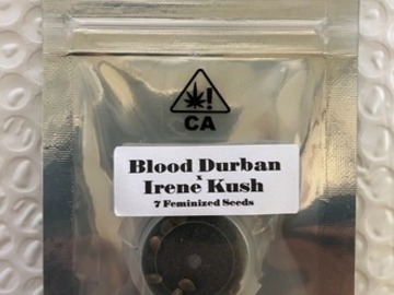 Subastas: (AUCTION) Blood Durban x Irene Kush from CSI Humboldt