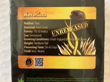 Auction: (AUCTION) Kerosina from Exotic Genetix