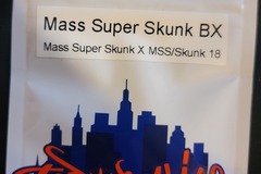 Sell: Mass Super Skunk bx Top Dawg