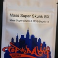 Vente: Mass Super Skunk bx Top Dawg