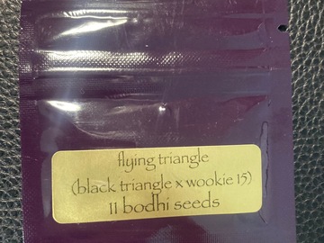 Sell: Flying Triangle (Black Triangle x Wookie 15) - Bodhi Seeds