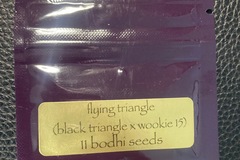 Vente: Flying Triangle (Black Triangle x Wookie 15) - Bodhi Seeds