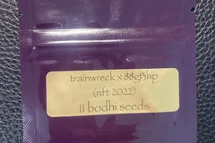 Vente: Trainwreck x 88G13HP - Bodhi Seeds