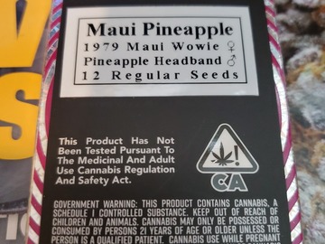 Vente: Maui Pineapple *EQG