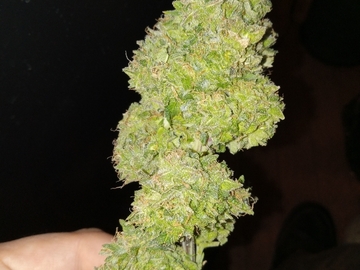 Vente: Sour Wizard (Wizardry(rs11xzoap)xDouble dose diesel