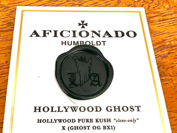 Sell: Hollywood Ghost from Aficionado