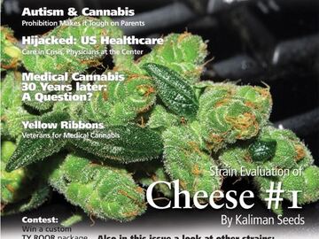 Sell: Kaliman Seeds, "Cheese Number 1", 10 x Feminised Seeds.
