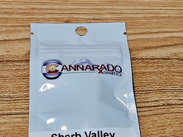 Venta: Cannarado Genetics Sherb Valley Feminized