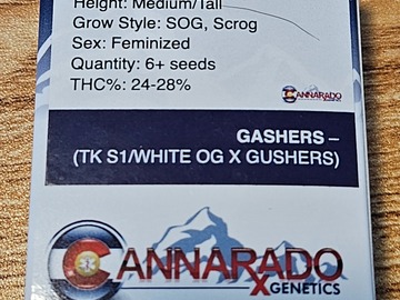 Sell: Cannarado Genetics Gashers Feminized
