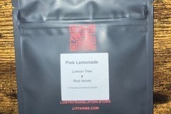 Enchères: (Auction) HALF Pink Lemonade from LIT Farms