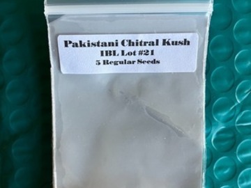 Auction: (auction) PCK IBL from CSI Humboldt