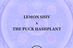 Sell: Lemon Shiv (Capulator) x THE PUCK Hashplant
