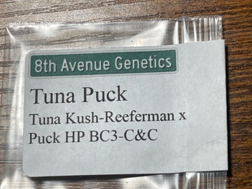 Sell: 8th Avenue Genetics Tuna Puck