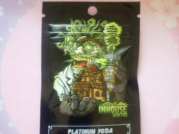 Platinum Yoda - Inhouse Genetics