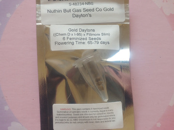 Gold Daytons - Nuthin' But Gas Seed Co.
