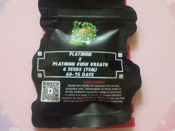 Platinum X Platinum Kush Breath - Inhouse Genetics