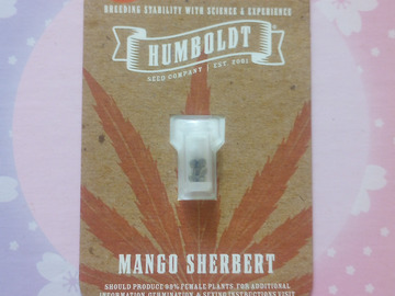 Sell: Mango Sherbet - Humblodt Seed Co.  -  Fem Photo