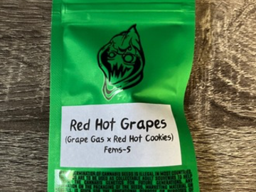 Robinhood Seeds- Red Hot Grapes