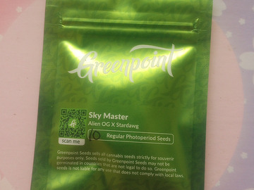 Vente: Sky Master - Greenpoint seeds