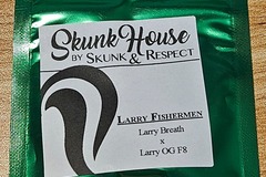 Vente: Skunk House Genetics Larry Fisherman