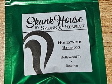 Vente: Skunk House Genetics Hollywood Reunion