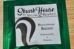 Sell: Skunk House Genetics Hollywood Reunion
