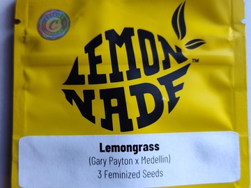 Auction: Lemonade from Cookies "LEMONGRASS"