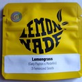 Auction: Lemonade from Cookies "LEMONGRASS"