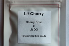 Auction: (Lit Farms)  "Cherry Dosi x Lit OG"   12 fems