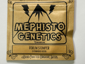 Mephisto Genetics - Forum Stomper