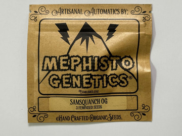 Mephisto Genetics - Samsquanch OG