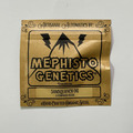 Vente: Mephisto Genetics - Samsquanch OG
