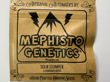 Mephisto Genetics - Sour Stomper