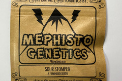 Vente: Mephisto Genetics - Sour Stomper