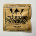 Venta: Mephisto Genetics - Sour Stomper