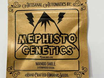 Vente: Mephisto Genetics - Mango Smile